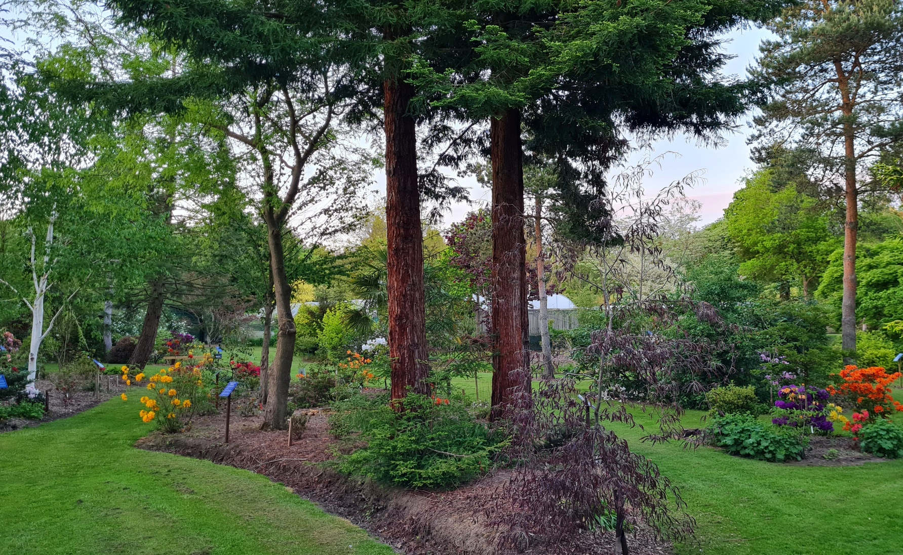 The Gardens in May at Bluebell Arboretum and Nursery